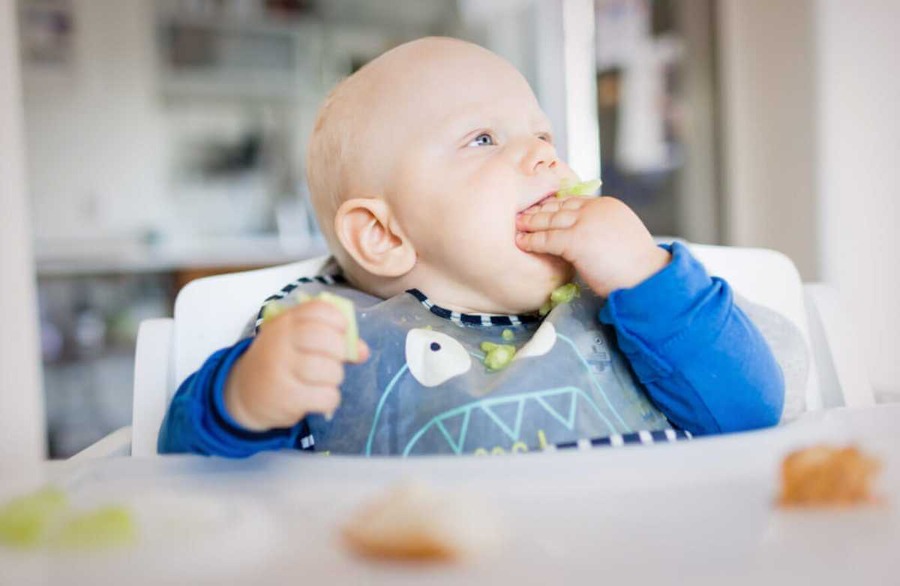 melhor nutricionista infantil sorocaba Medica Especialista em Nutrição Infantil
